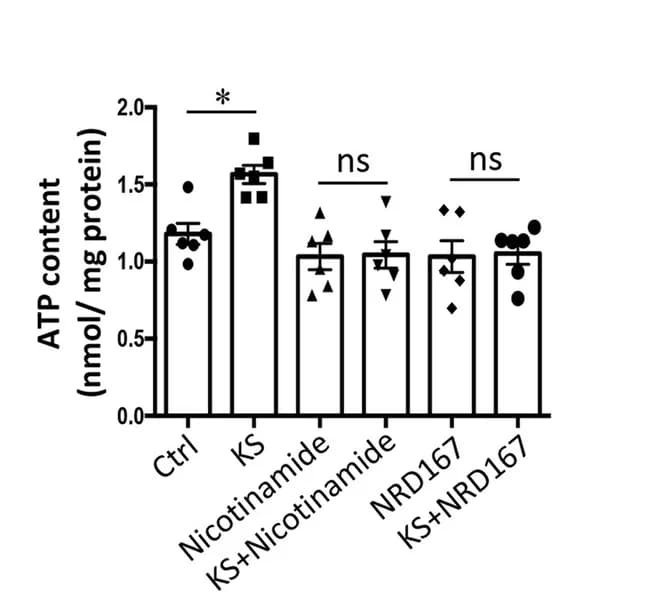 Open access visualization of Bar Plot, Error Bars, Scatter Plot, ATP Content, IPEC-J2 Cells