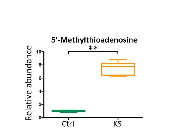 Open access visualization of Box Plot, Violin Plot, Relative Abundance, 5′-methylthioadenosine, Culture Supernatant