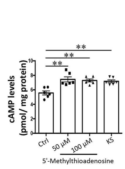 Open access visualization of Bar Plot, Error Bars, cAMP Levels, IPEC-J2 Cells
