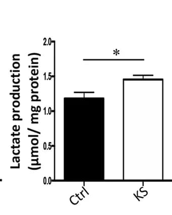 Open access visualization of Bar Plot, Error Bars, Lactate Production, Jejunal Epithelial Cells, GF Mice