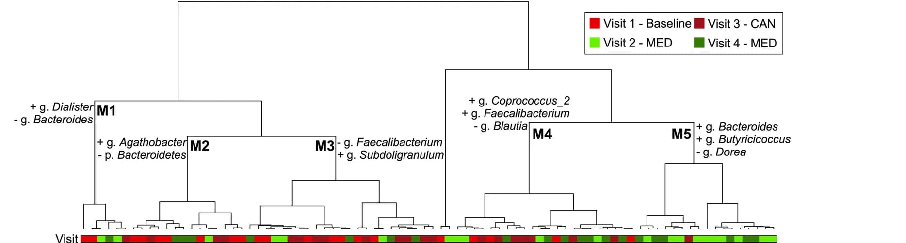 Open access visualization of Illustration, Workflow, Microbiota, Taxonomical Profiles, Hierarchical Clustering