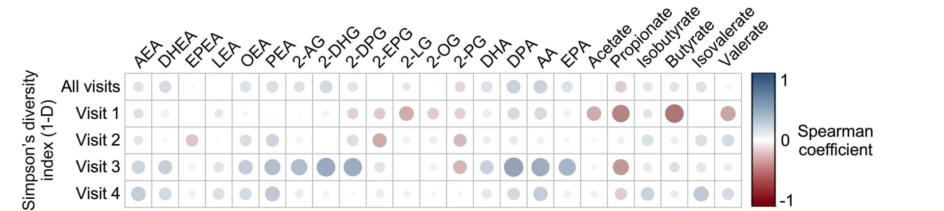 Open access visualization of Bubble Plot, Heatmap, FDR-corrected Spearman correlations, Plasmatic lipid concentrations, Gut microbiota diversity