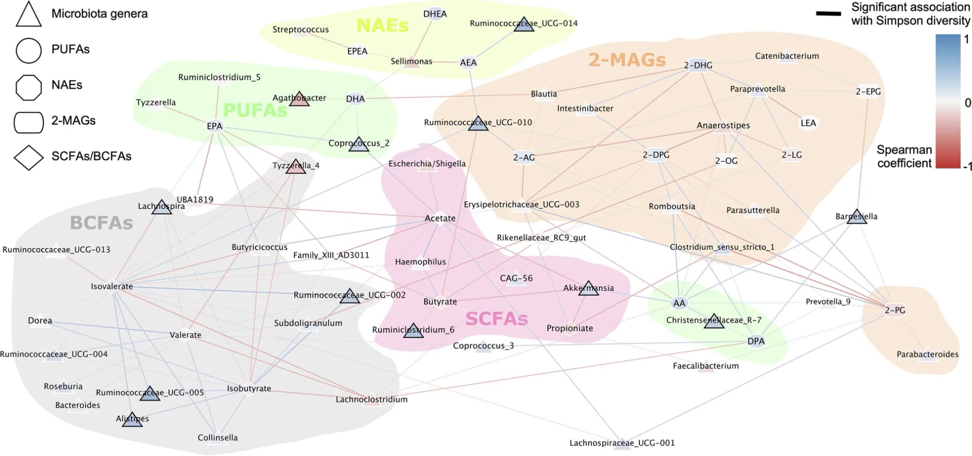 Open access visualization of Network, Pathway, Microbiota, Bioactive Lipids, BCFAs