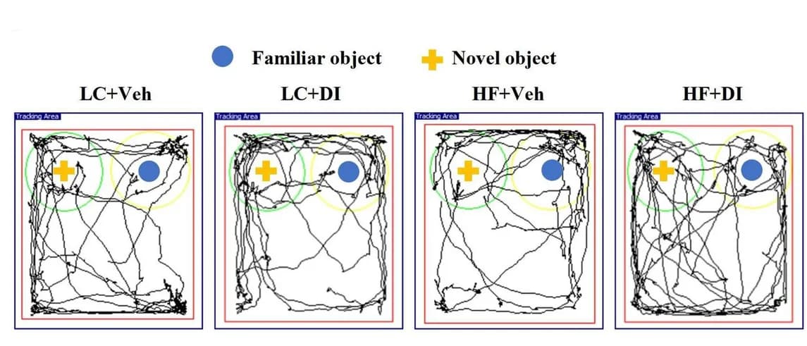 Open access visualization of Line Plot, Novel object recognition test, Object recognition memory, Mice, Track plots