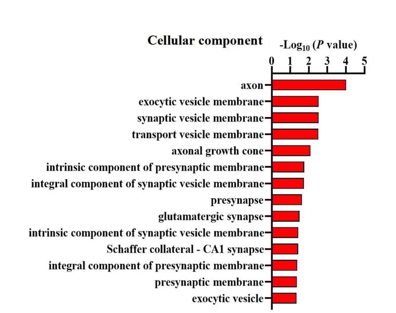 Open access visualization of Bar Plot, Cellular Components, Synapse, HF+DI Group, HF+Veh Group