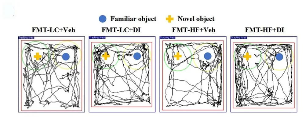 Open access visualization of Line Plot, Novel object recognition test, Track plots