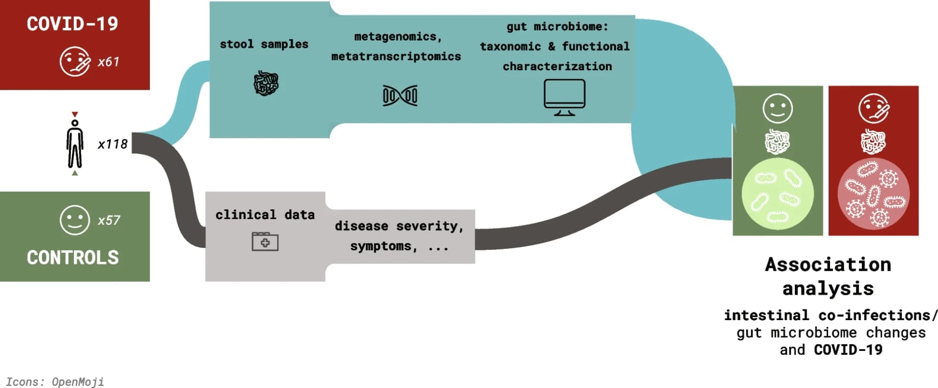 Open access visualization of Workflow, Flowchart, Illustration, Study Design, Cohort Composition
