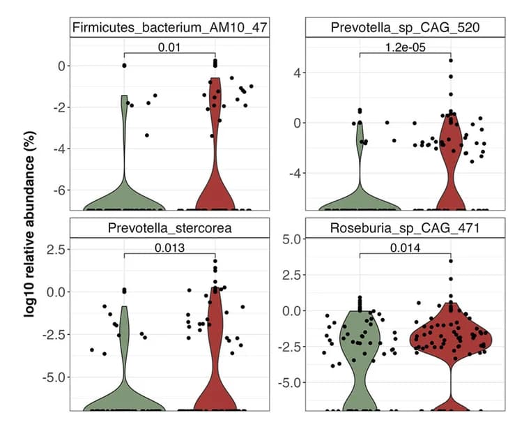 Open access visualization of Violin Plot, Scatter Plot, Bacterial Species, COVID-19 Patients, Control Group