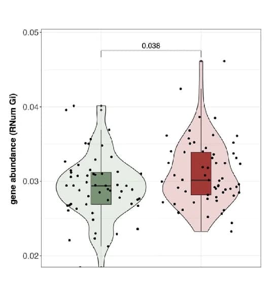 Open access visualization of Violin Plot, Box Plot, Scatter Plot, Metagenome, Virulence Factors