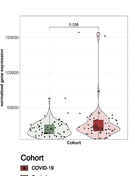 Open access visualization of Violin Plot, Box Plot, Scatter Plot, Metatranscriptomics, Virulence Factors