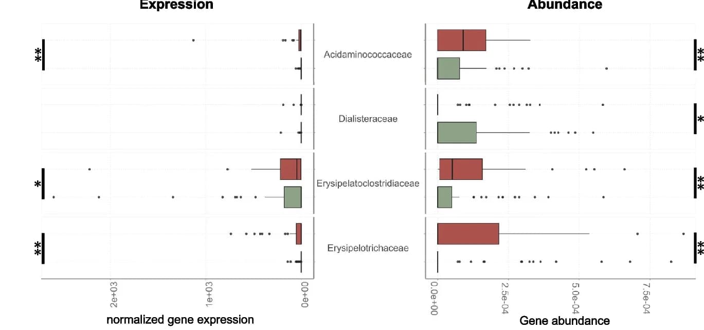 Open access visualization of Box Plot, Abundance, Expression Levels, MAG Families, Virulence Factors