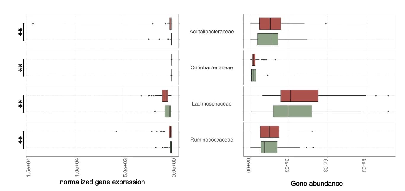Open access visualization of Box Plot, Abundance, Expression Levels, Virulence Factors, MAGs