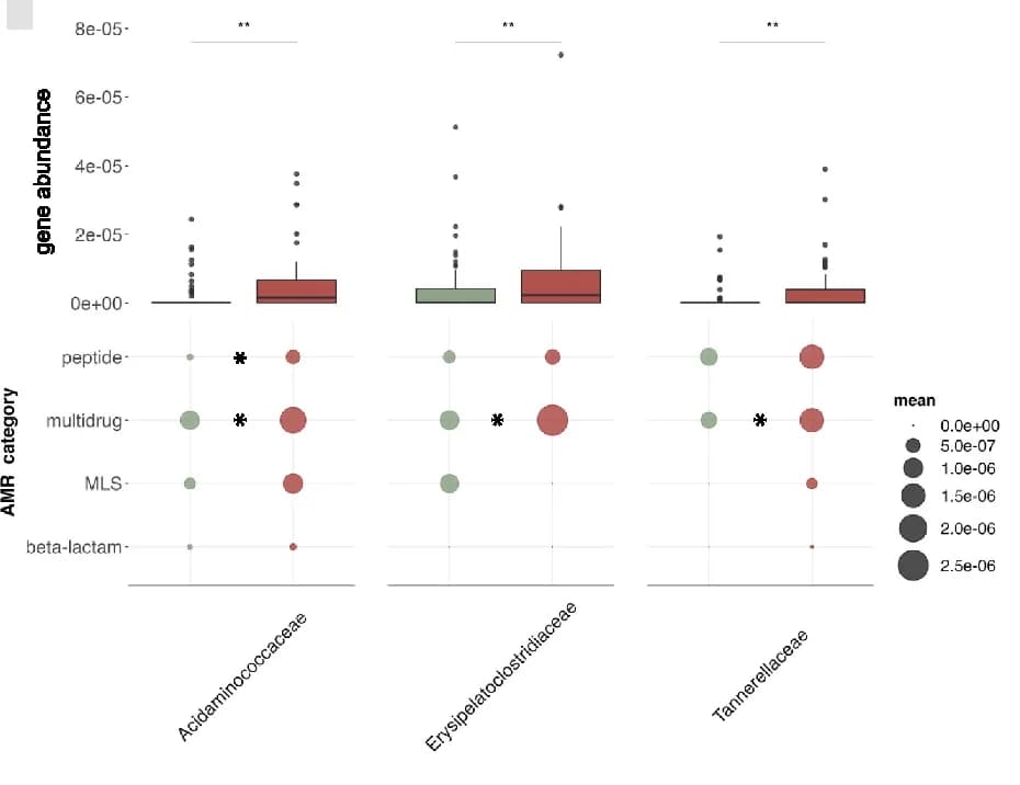 Open access visualization of Box Plot, Bubble Plot, ARGs, AMR categories, MAGs