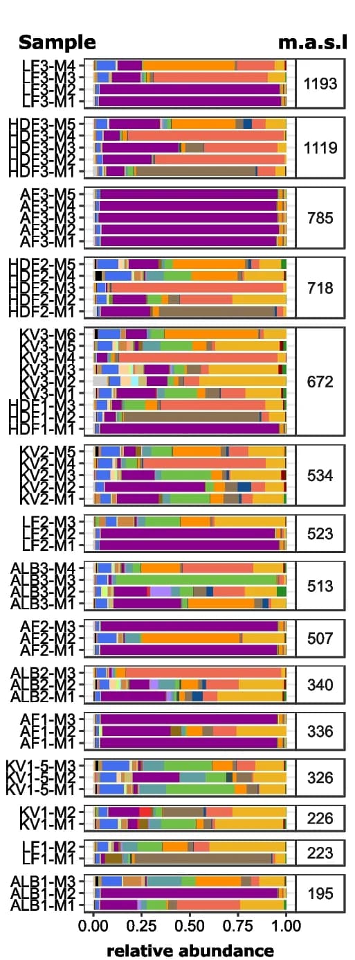 Open access visualization of Stacked Bar Plot, Bacterial Communities, Altitude, Relative Abundance