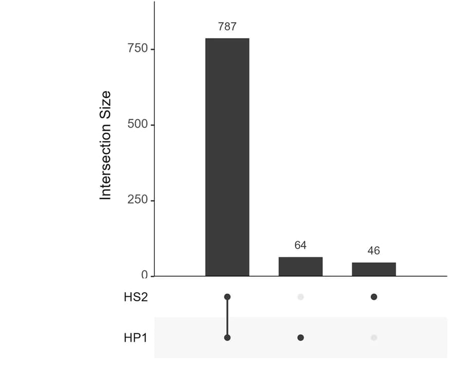 Open access visualization of Bar Plot, UpSet, Metabolites, Uninfected Cells, Infected Cells