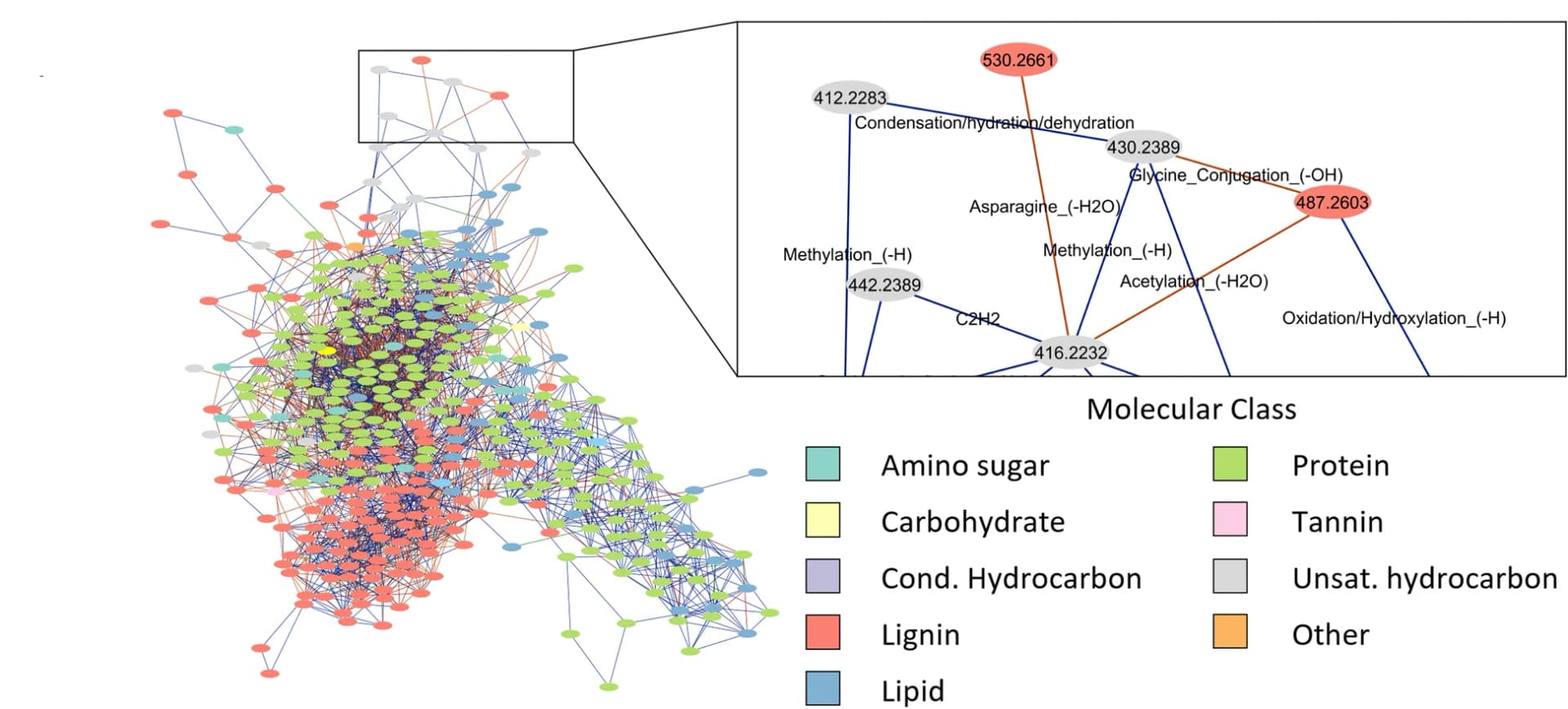 Open access visualization of Network, Pathway, Molecular Network, Transformation Network, Metabolites