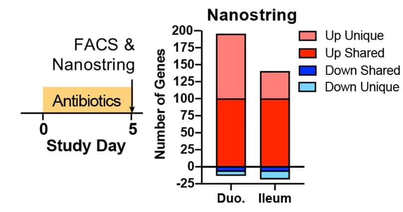 Open access visualization of Bar Plot, Stacked Bar Plot, Antibiotics, Flow cytometry, Nanostring