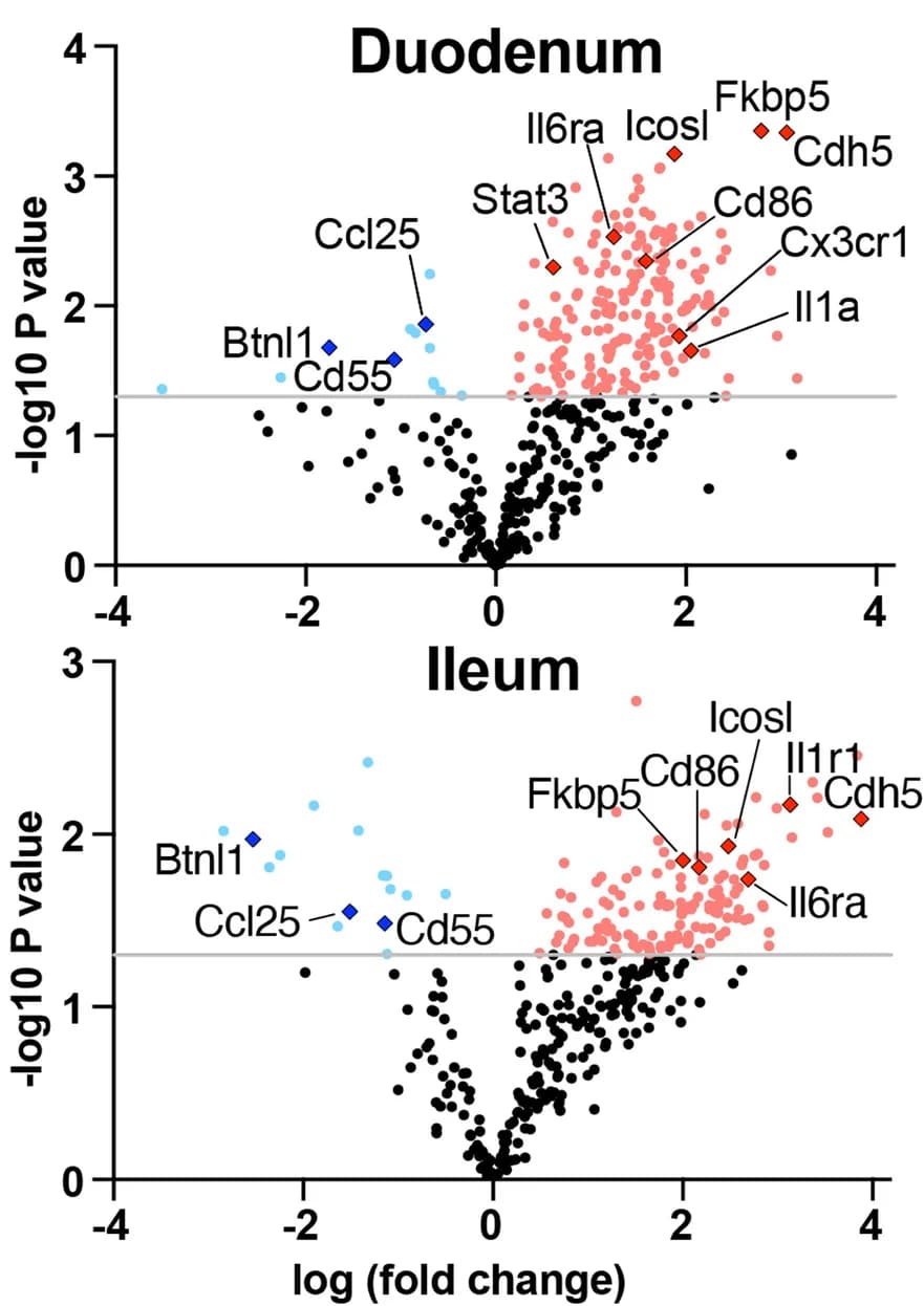 Open access visualization of Volcano Plot, Genes, Duodenum, Ileum, NCounter