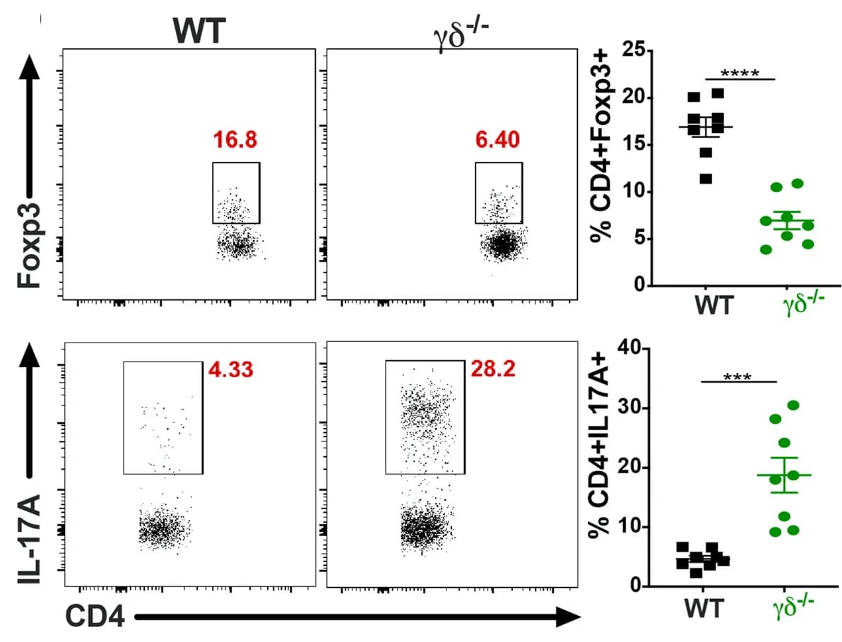 Open access visualization of Scatter Plot, Bar Plot, Error Bars, FACS, Bar graphs