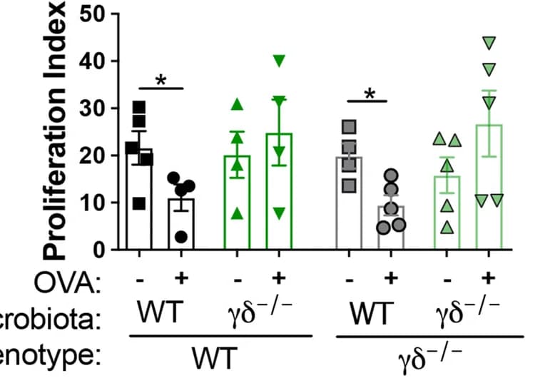 Open access visualization of Bar Plot, Error Bars, Scatter Plot, Oral Tolerance, OVA