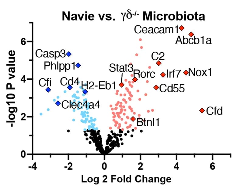 Open access visualization of Volcano Plot, Scatter Plot, Volcano plots, Genes, Duodenum