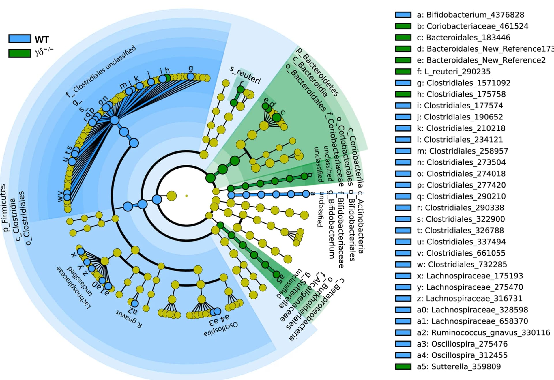 Open access visualization of Network, Pathway, Cladogram, Taxa, Microbiota