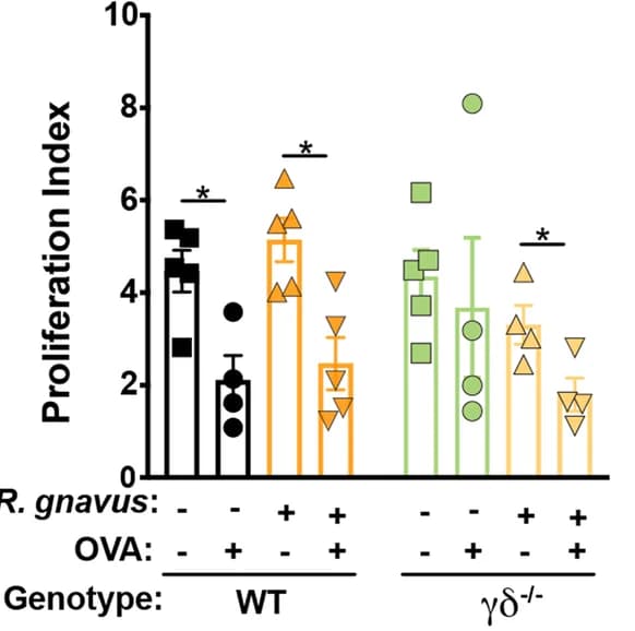 Open access visualization of Bar Plot, Error Bars, OVA, Splenocyte Proliferation, Mice