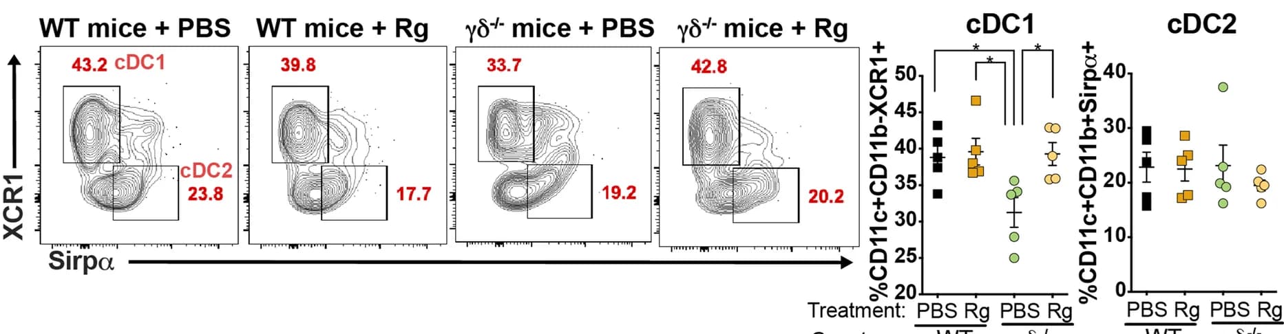 Open access visualization of Scatter Plot, Error Bars, FACS, Bar Graphs, Migratory cDC1s