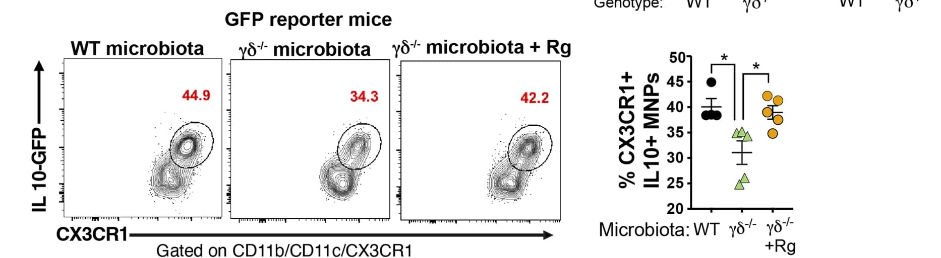 Open access visualization of Scatter Plot, Error Bars, FACS, Bar Graphs, CD11b+ CD103− CX3CR1+ IL-10+ Mononuclear Phagocytes