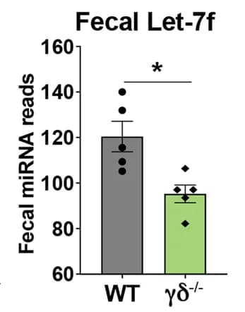 Open access visualization of Bar Plot, Error Bars, Feces, let-7f, γδ T cells