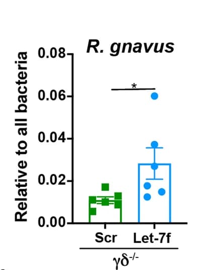 Open access visualization of Bar Plot, Error Bars, Scatter Plot, let-7f, γδ T cells