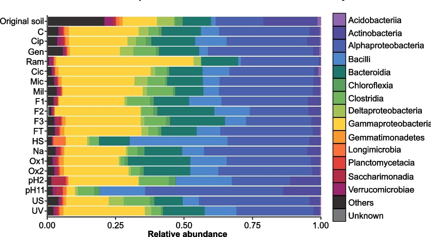 Open access visualization of Stacked Bar Plot, Relative Abundance, Prokaryotic Community