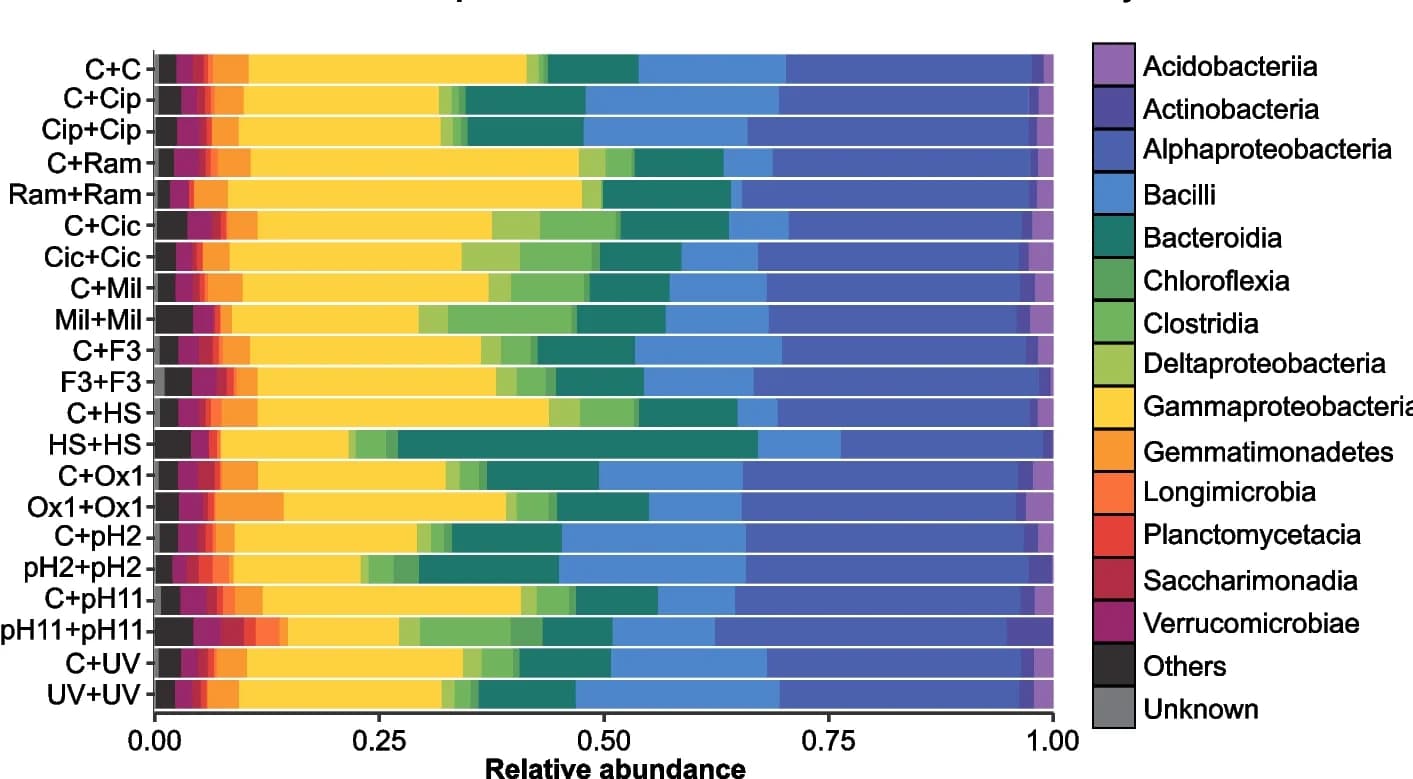 Open access visualization of Stacked Bar Plot, Relative Abundance, Prokaryotic Community