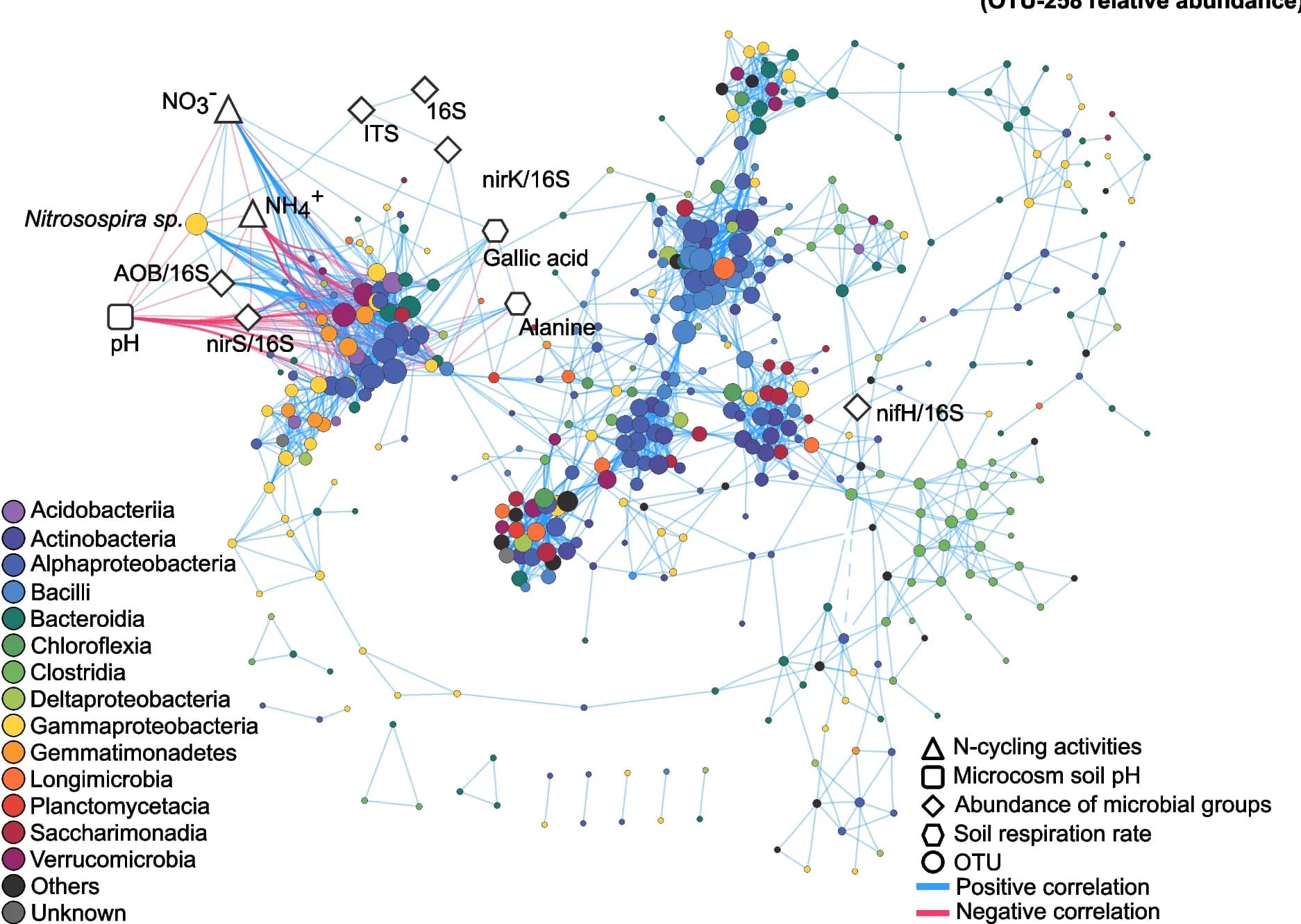 Open access visualization of Network, 16S rRNA Sequences, OTU, Inorganic N Pools, Soil pH