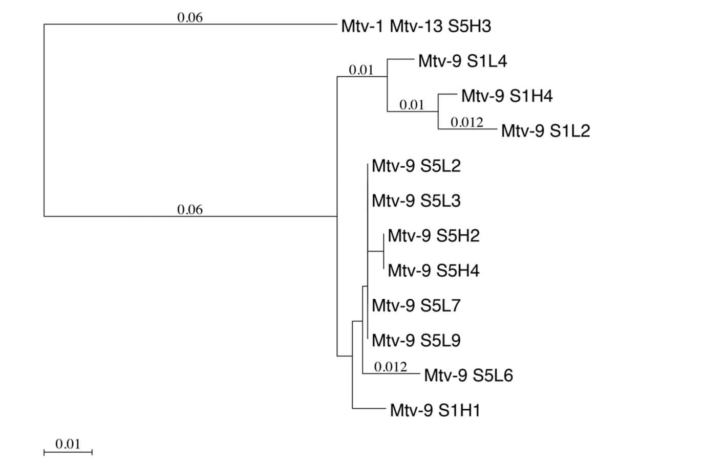 Open access visualization of Network, Pathway, Phylogram, sag clones, TCR-Vβ5