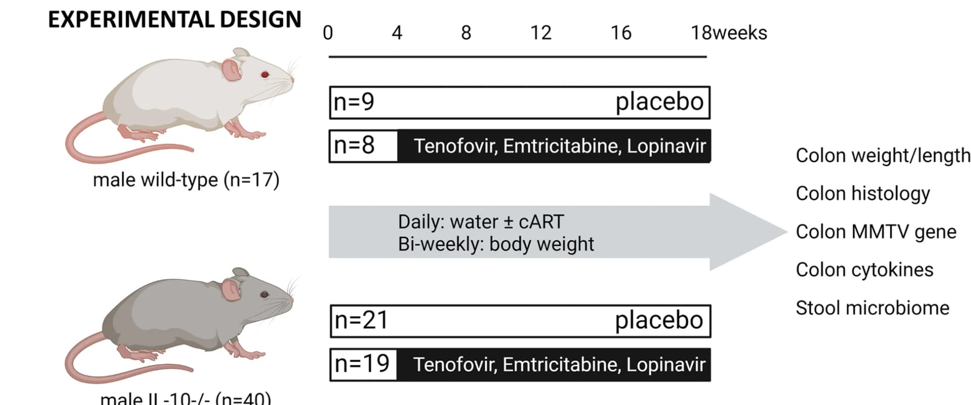 Open access visualization of Workflow, Illustration, Antiretroviral Therapy, IL-10 Mice, Growth Changes