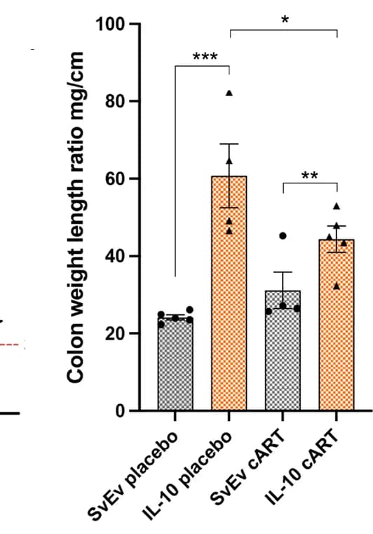 Open access visualization of Bar Plot, Error Bars, Colon weight-to-length ratio, Gut inflammation, Treatment