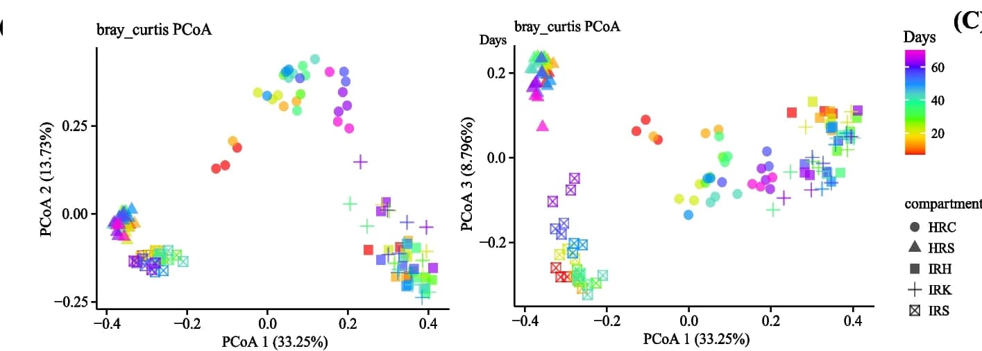 Open access visualization of Scatter Plot, PCA, PCoA, Bray-Curtis distance, Root-associated microbiota