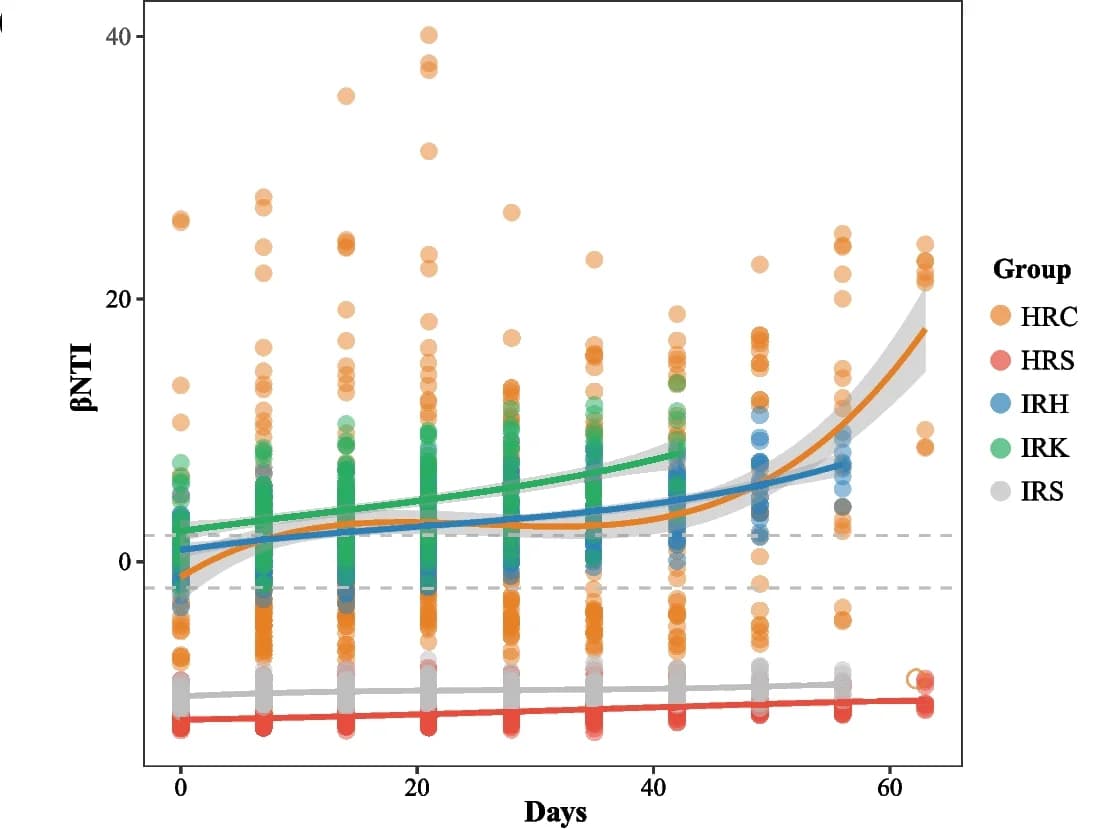 Open access visualization of Scatter Plot, Regression Plot, Beta Nearest Taxon Index, Deterministic Assembly, Stochastic Assembly