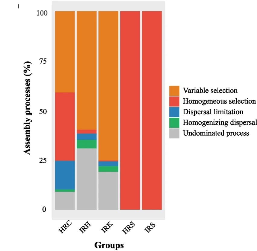Open access visualization of Stacked Bar Plot, Community Assembly, Root-associated Taxa, Deterministic Process, Stochastic Process