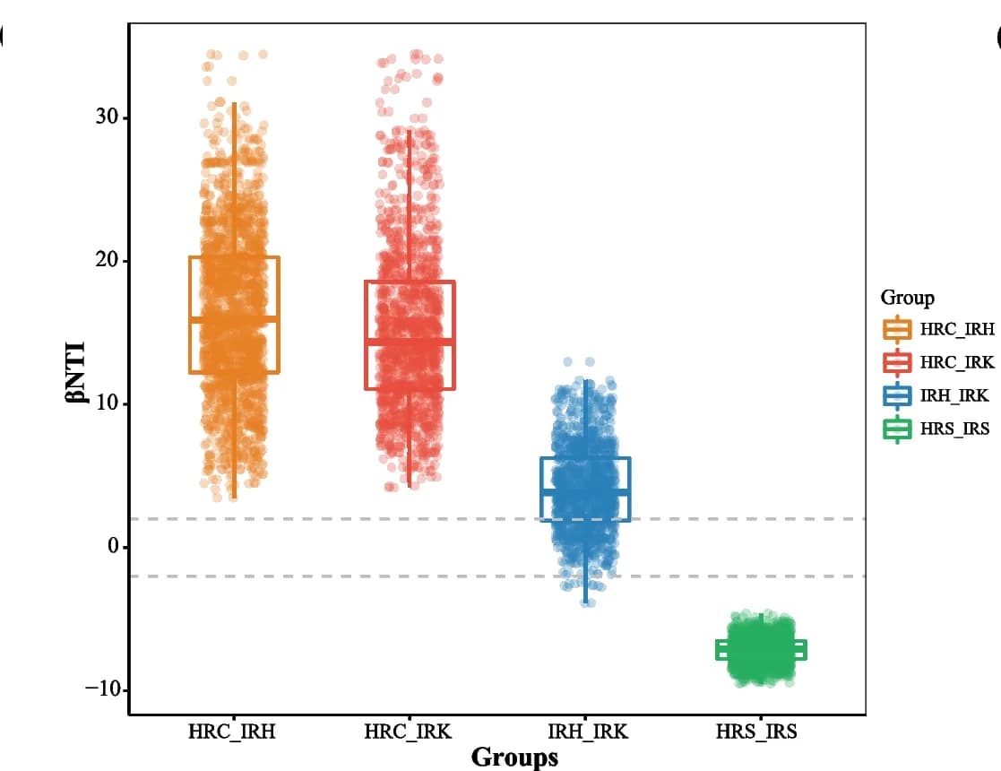 Open access visualization of Box Plot, Scatter Plot, Raincloud Plot, Beta Nearest Taxon Index, Community Comparison