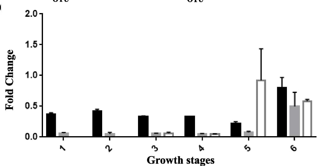 Open access visualization of Bar Plot, Error Bars, Clustered, Quantitative analysis, Nitrogenase gene