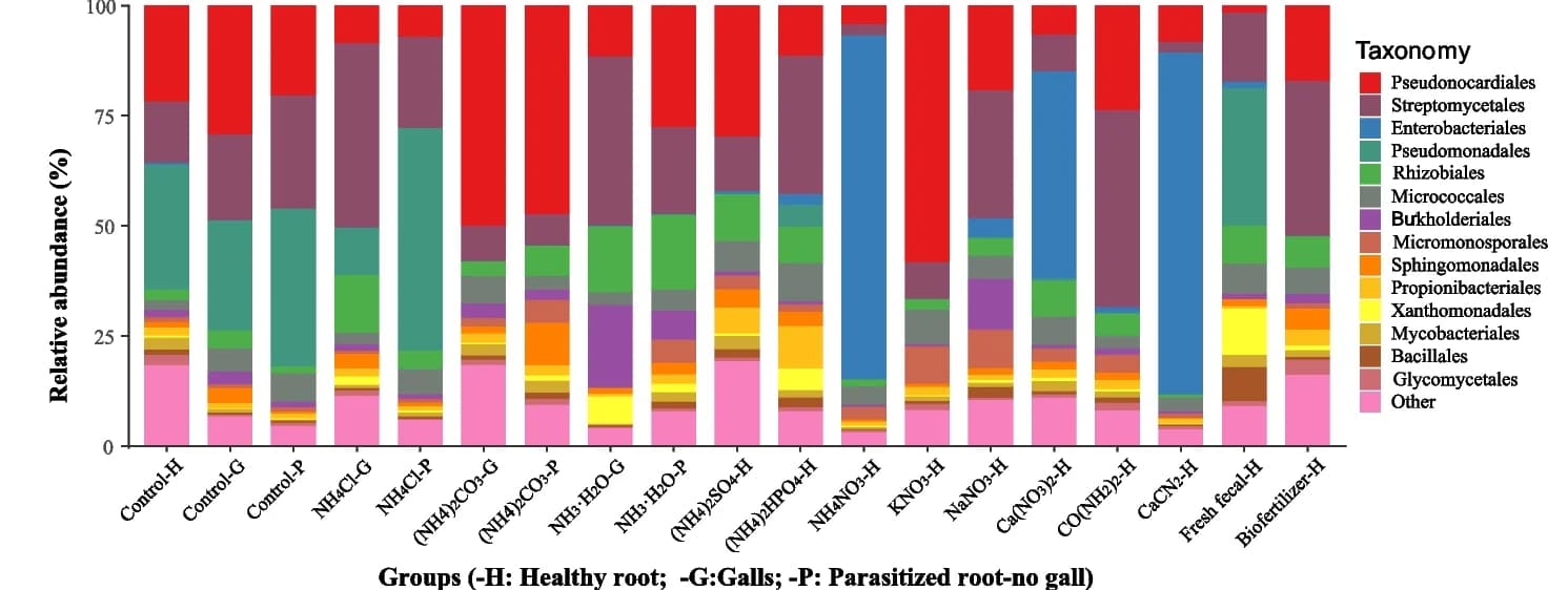Open access visualization of Stacked Bar Plot, Endophytic Community, Tomato Plants, Meloidogyne spp., Nitrogen Sources
