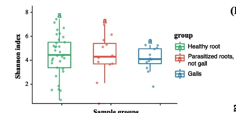 Open access visualization of Box Plot, Scatter Plot, Shannon Index, Chao1 Index, Root Endophytic Bacteria