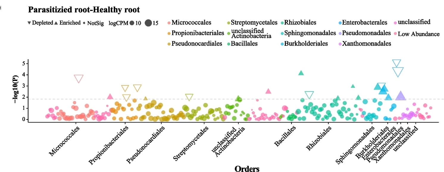 Open access visualization of Scatter Plot, Bubble Plot, Volcano Plot, Manhattan Plots, OTUs
