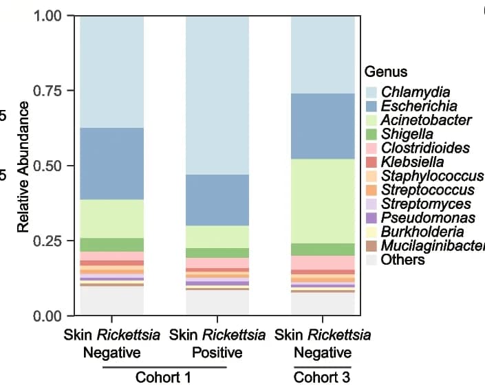 Open access visualization of Stacked Bar Plot, Skin Bacteria, Genus Level, Balb/C Mice, R. raoultii