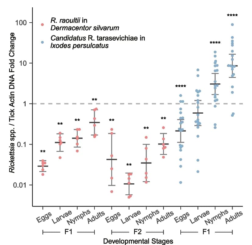 Open access visualization of Scatter Plot, Error Bars, Rickettsial Loads, Ticks, Vertical Transmission