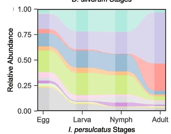Open access visualization of Line Plot, Tick Microbiome, Life Stages, Rickettsiae-Negative