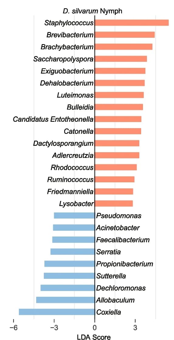 Open access visualization of Bar Plot, LDA, LEfSe Analysis, R. raoultii-Positive, R. raoultii-Negative