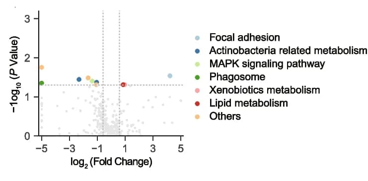 Open access visualization of Volcano Plot, Scatter Plot, KEGG Pathways, Skin Microbiome, R. raoultii